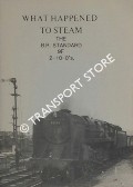 Book cover of What Happened to Steam by HANDS, Peter